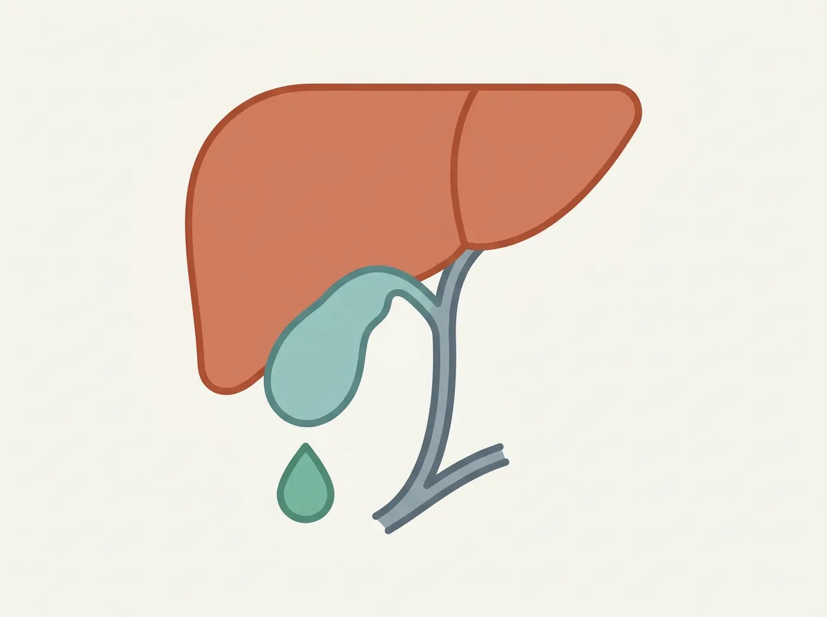 Diagram: Poop Color Meaning: What Each Stool Color Usually Indicates