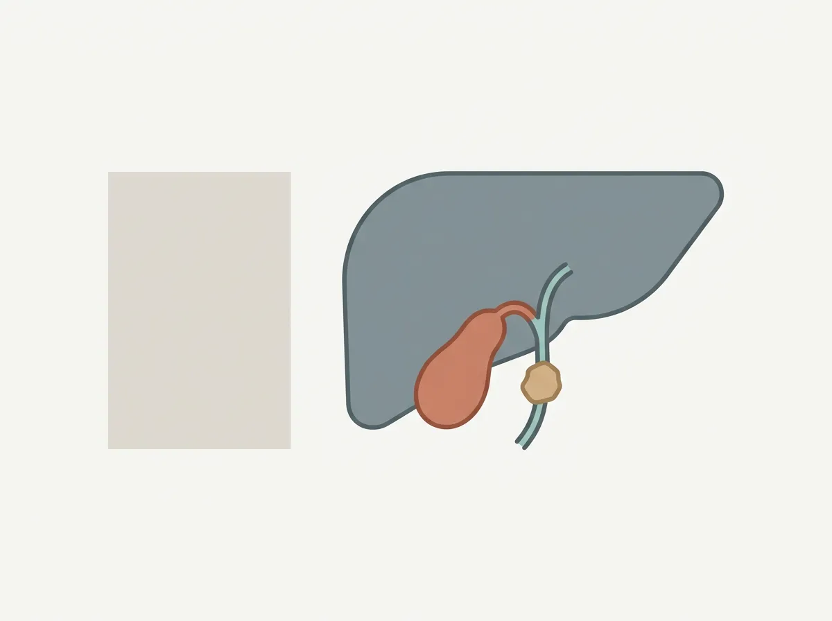 Diagram: Pale, clay-colored, gray or white poop: the bile-flow question